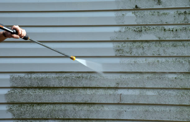 Best Commercial Building Pressure Washing  in Scotland Neck, NC