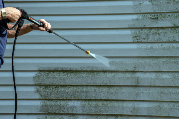 Best Residential Pressure Washing Services  in Scotland Neck, NC