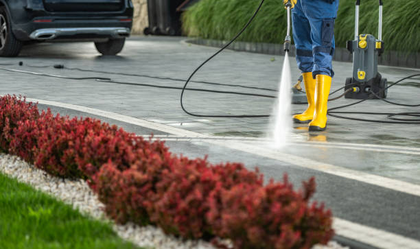 Best Exterior Home Cleaning  in Scotland Neck, NC