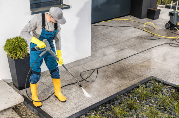 Best Roof Pressure Washing  in Scotland Neck, NC