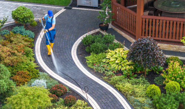 Best Commercial Pressure Washing  in Scotland Neck, NC
