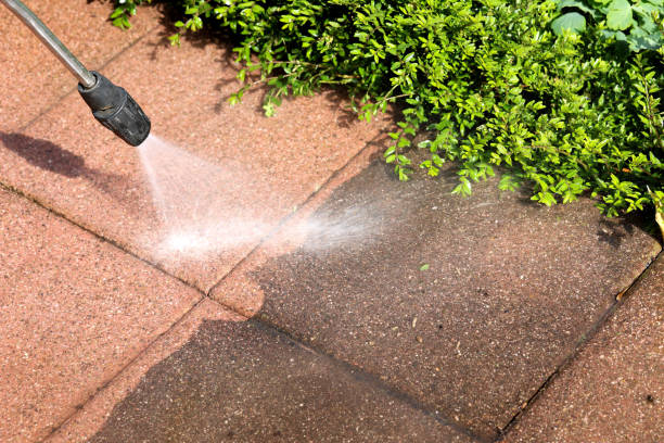 Best Residential Pressure Washing Services  in Scotland Neck, NC